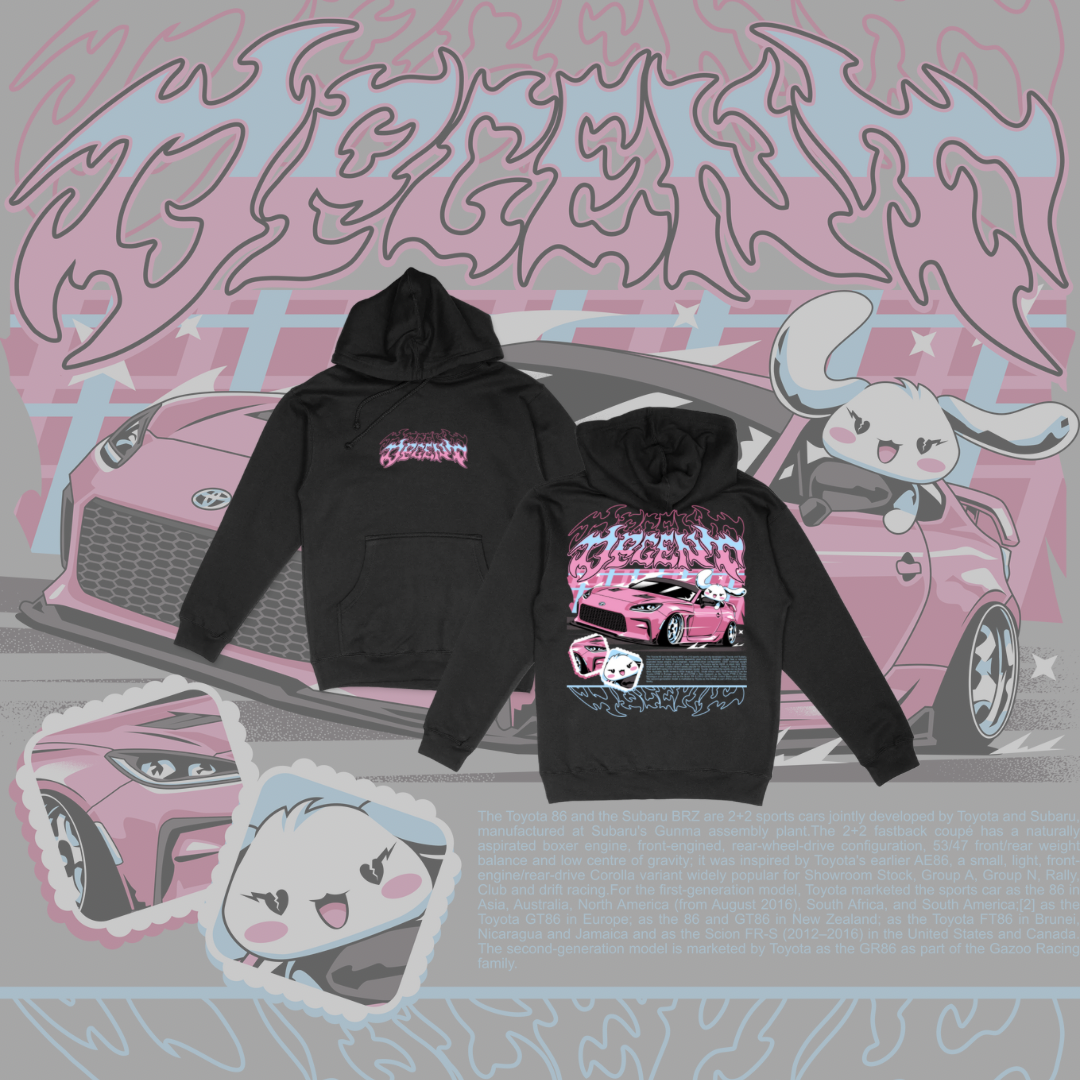 PASTEL 86 HOODIE